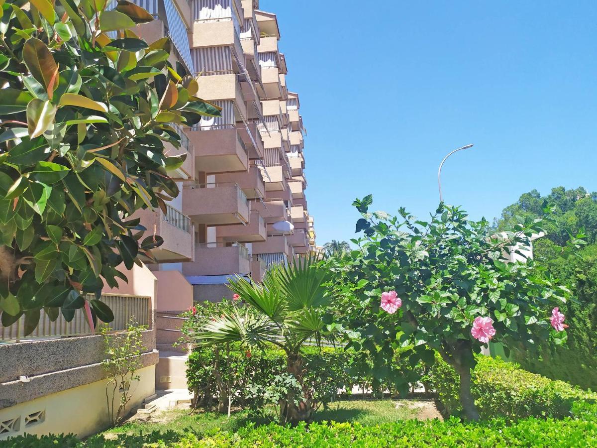 Apartamentos Gandia Beach 3000 Dış mekan fotoğraf